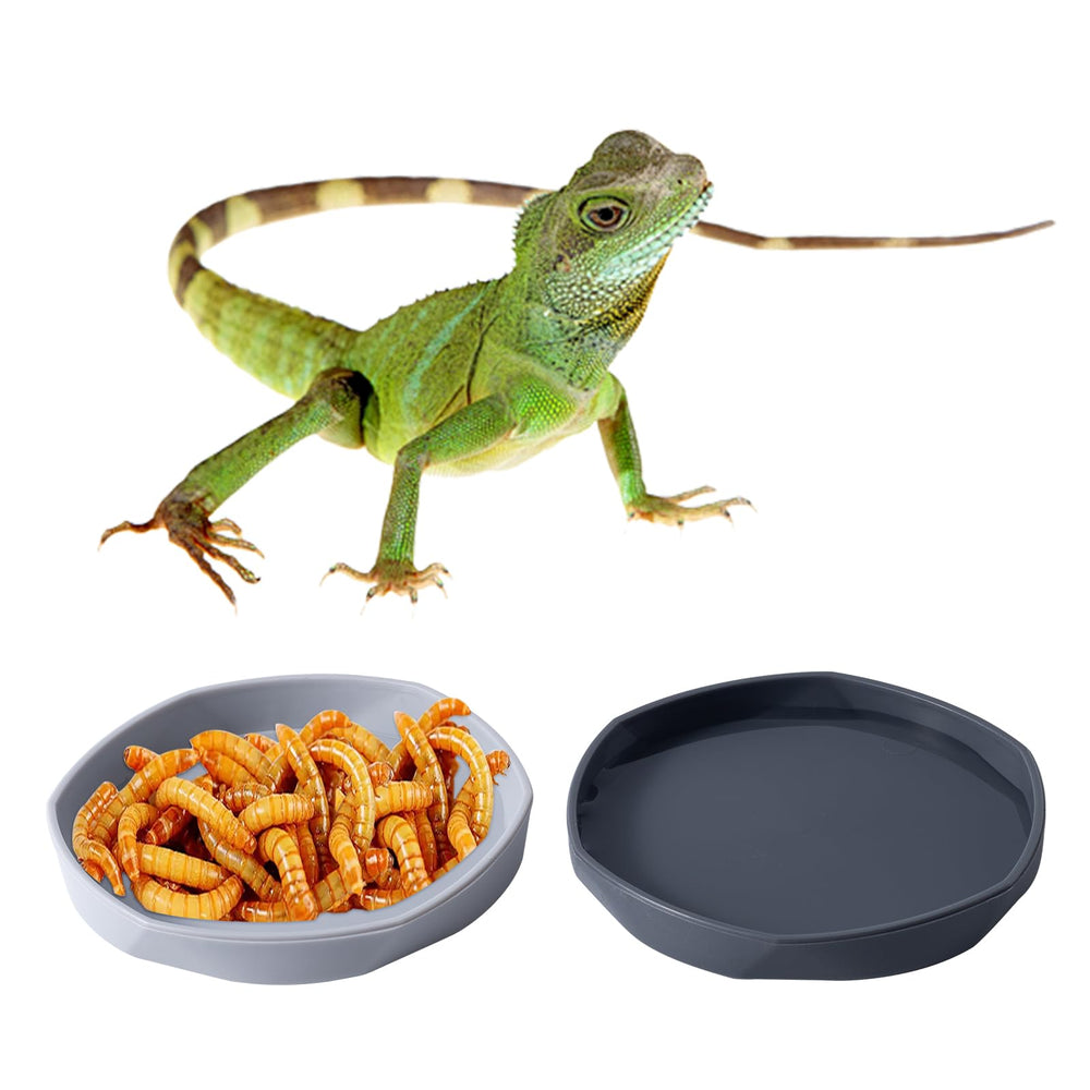 COMSUN plato-durable-reptil blanco gris, diseño ligero y resistente para el hábitat.