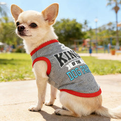 Conjunto de ropa para perros pequeños con nubes y arcoíris, añade encanto alegre.