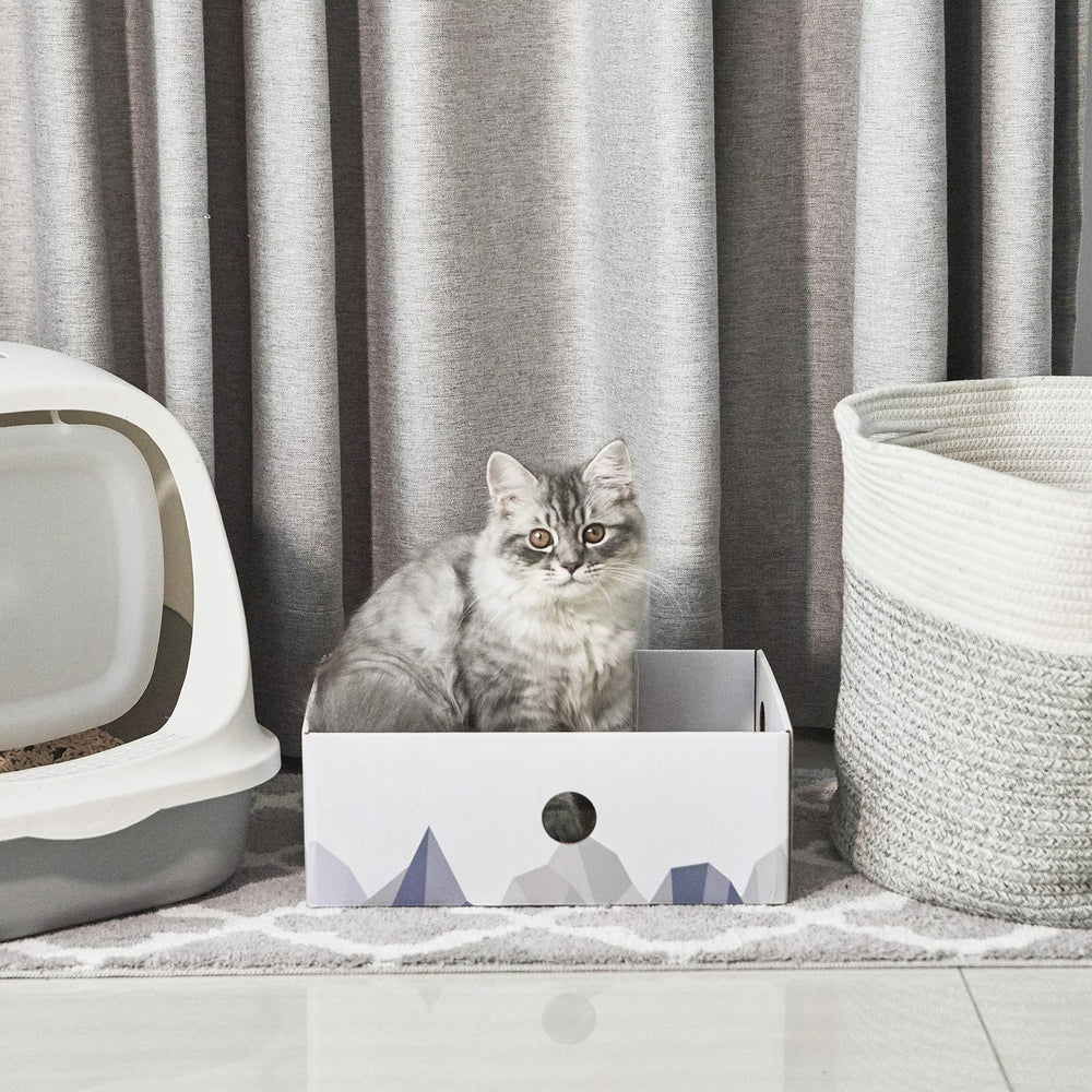 Conlun cama para gatos blanca, perfecta para interiores luminosos.
