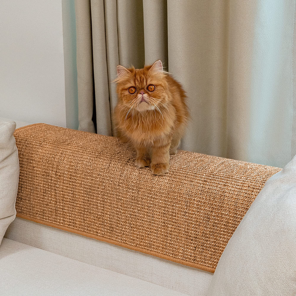 Conlun rascador sisal tamaño grande para gatos grandes.