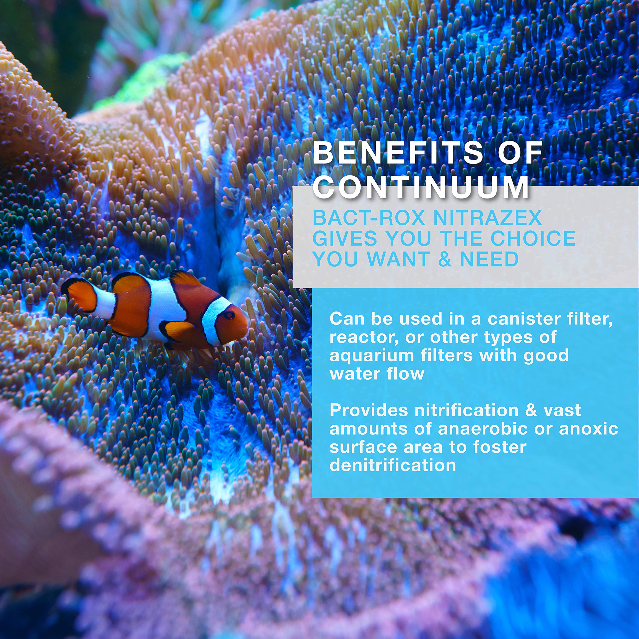 Bact Rox Nitrazex de Continuum Aquatics, uso en nano acuario para biofiltración eficiente.