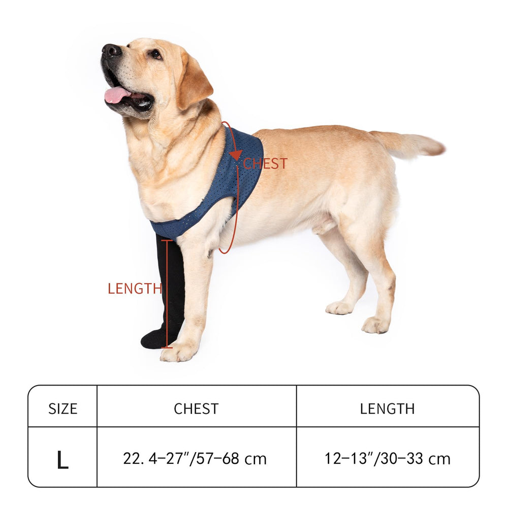 COODEO aplicacion rapida para perros facilita colocación