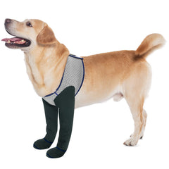 Calcetines COODEO para perro protegen las patas delanteras durante paseos.