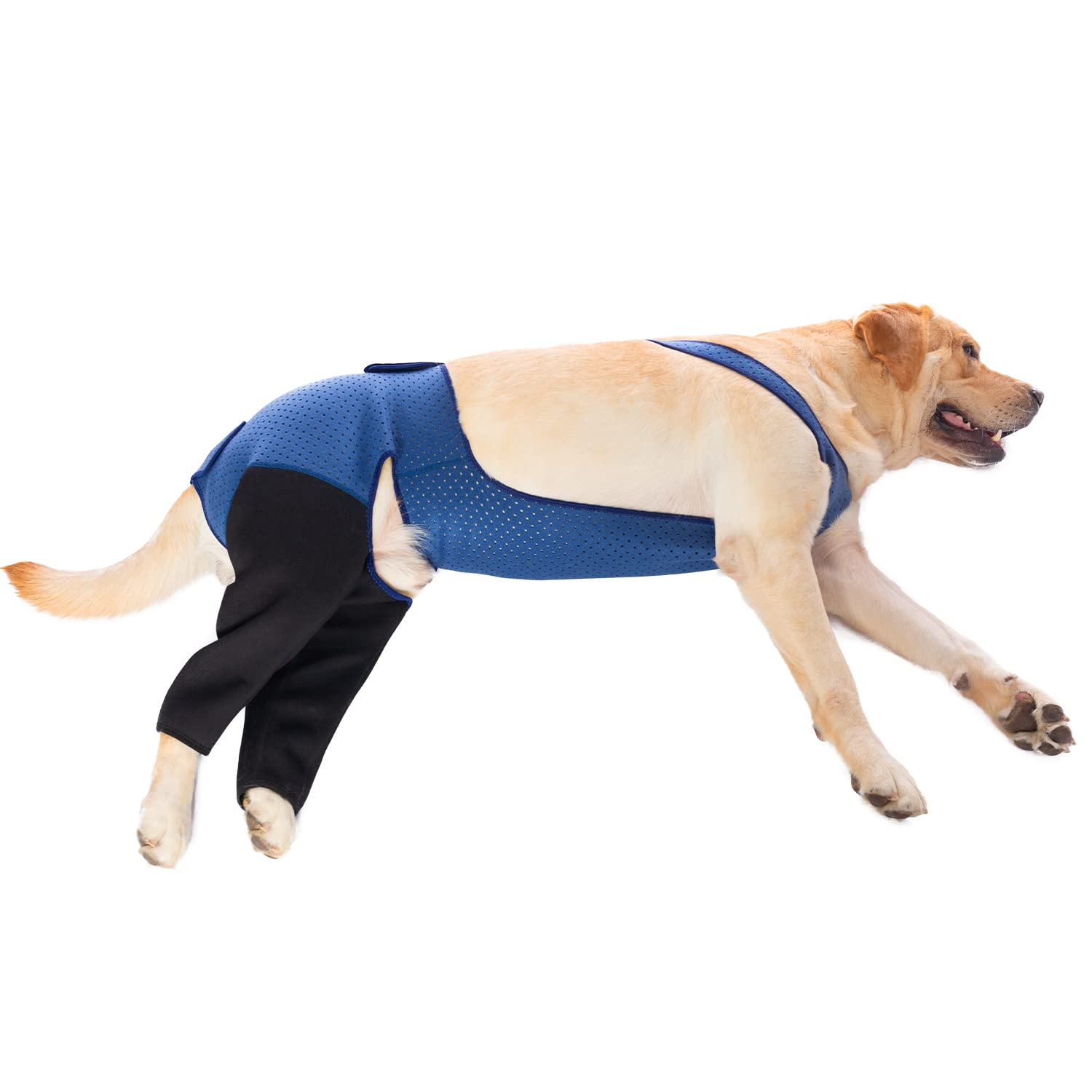 Coodeo traje de recuperación para perros XL en azul, evita lamidos tras cirugía.