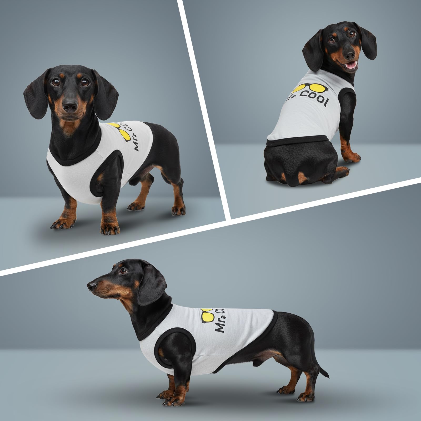 COOHAMS algodón transpirable, camiseta ligera para perro.