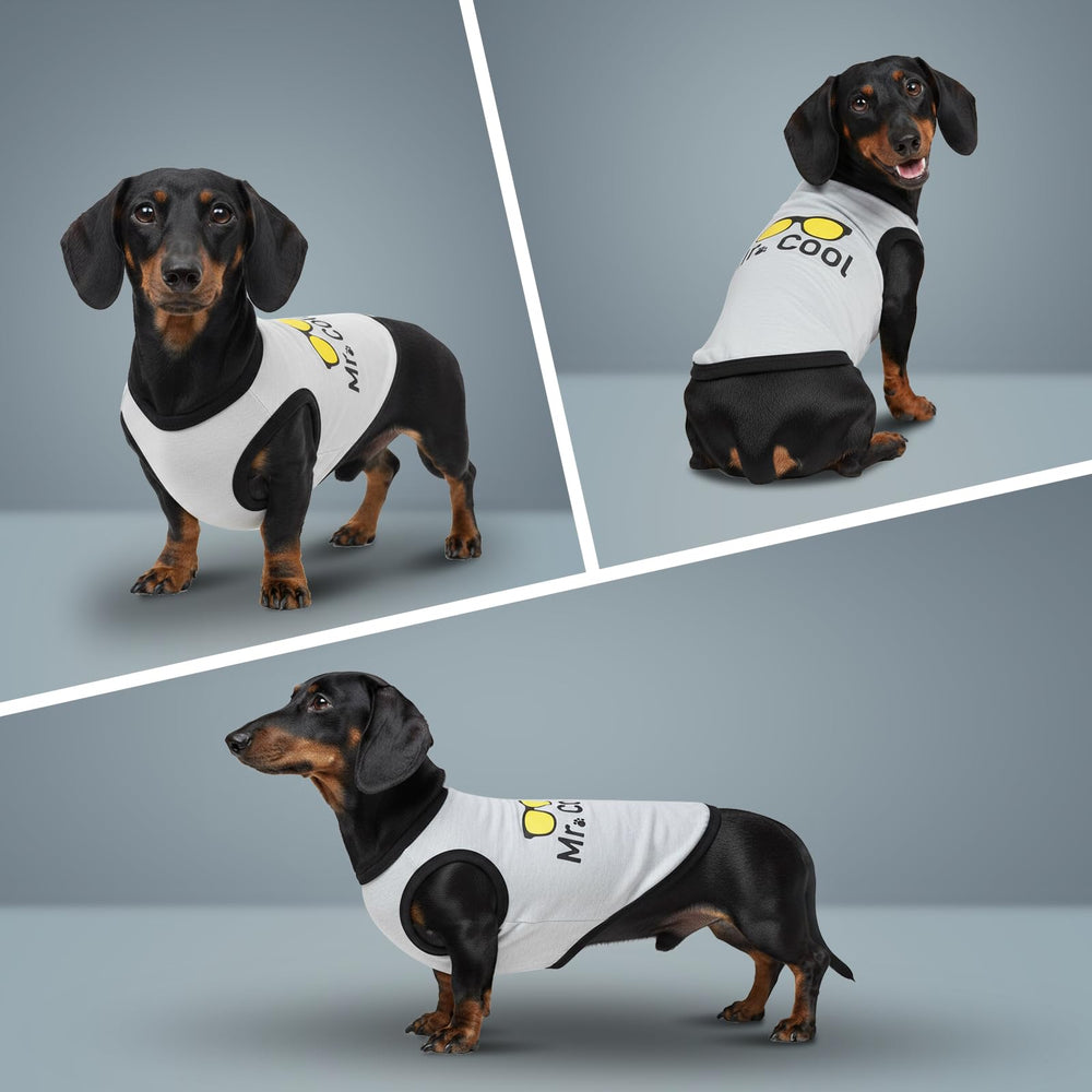 COOHAMS algodón transpirable, camiseta ligera para perro.