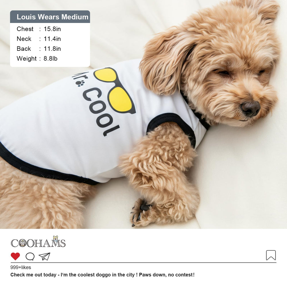 COOHAMS camisetas para perro macho en negro, ideal para salidas diarias.