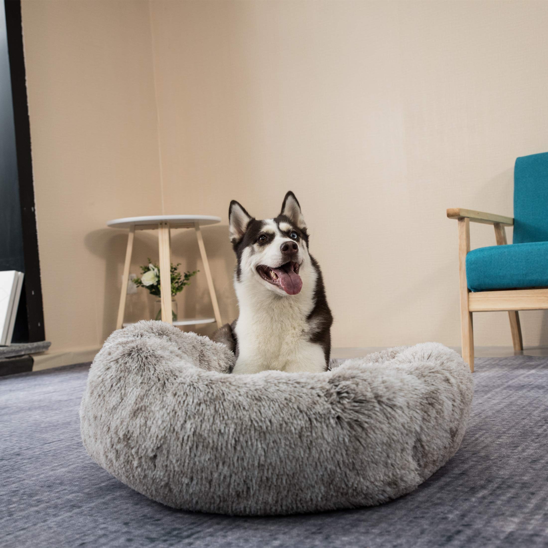 Coohom Donut lavable a máquina, limpieza fácil