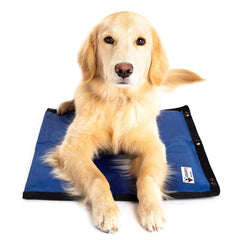 CoolerDog funda de enfriamiento para perros, uso diario en casa.