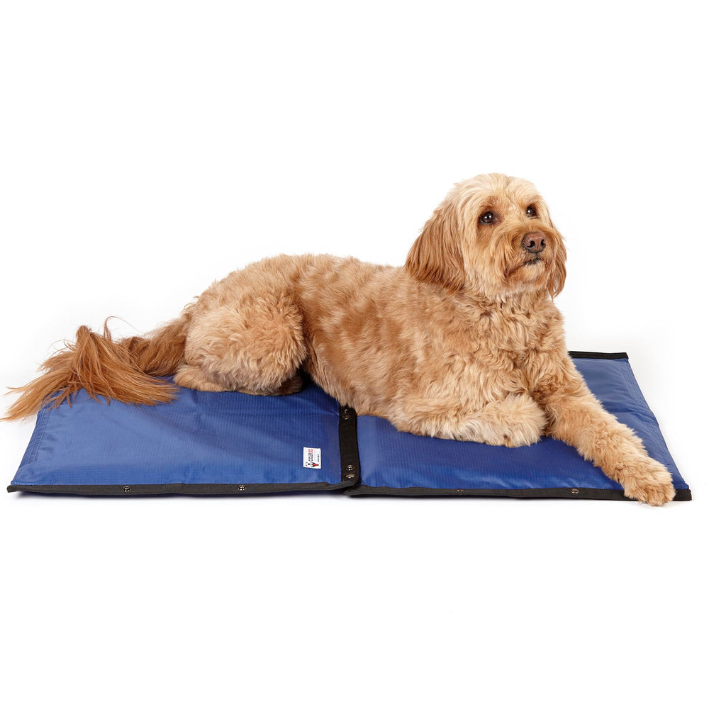 CoolerDog tapete enfriante hidro, sistema completo para uso en casa o exterior.