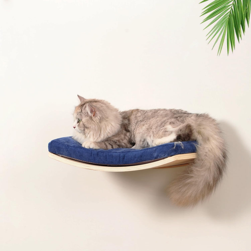 COOLEX pieza decorativa que embellece cualquier pared con funcionalidad.
