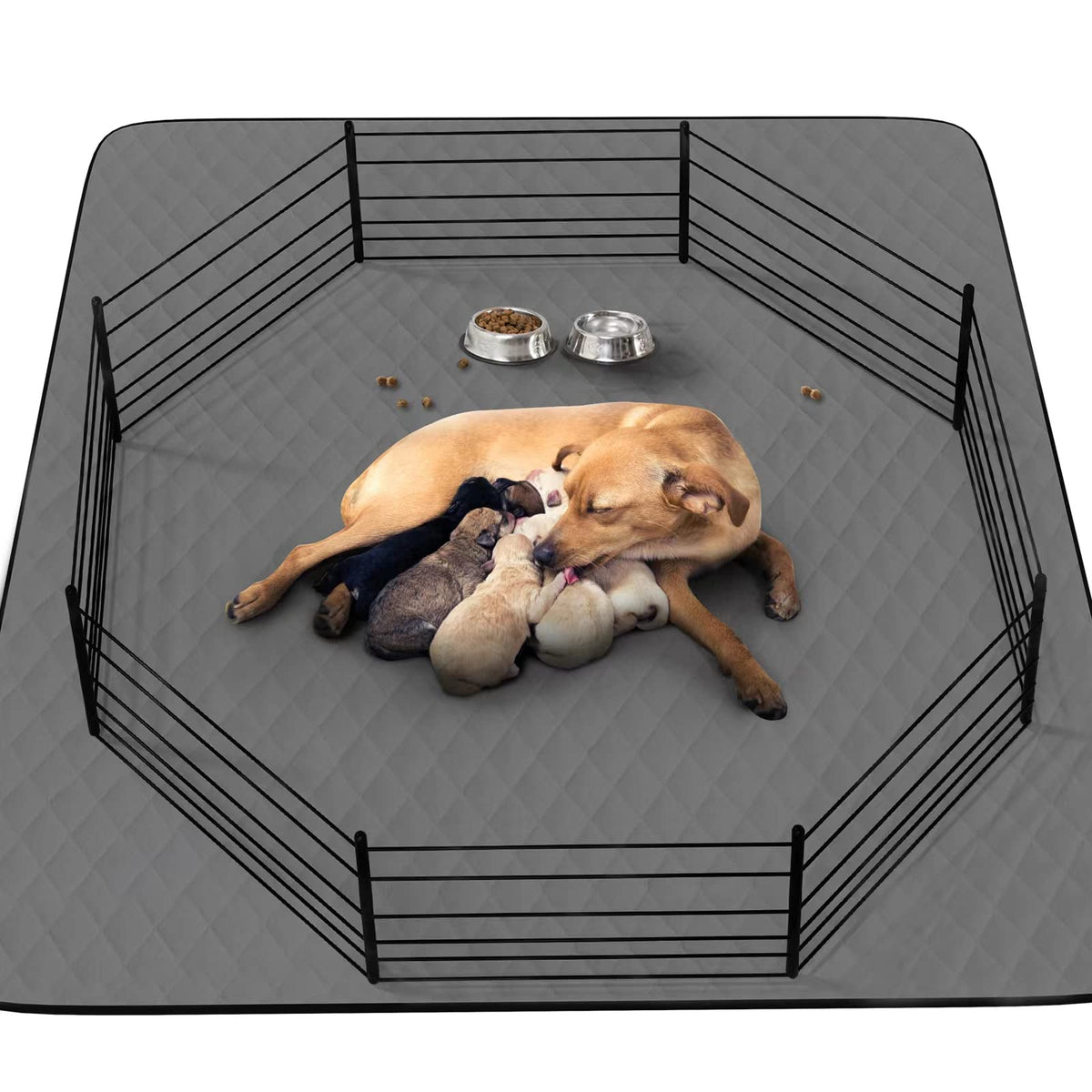 CoolShields almohadilla para pis perros 48x65, absorbente