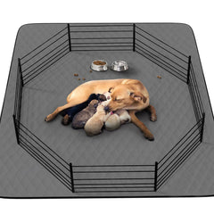 CoolShields almohadilla para pis perros 48x65, absorbente