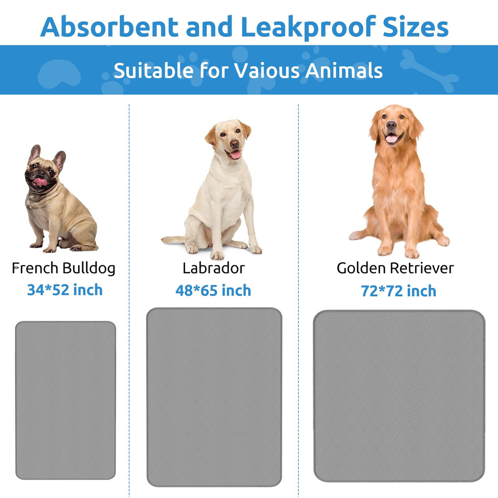 CoolShields protector para mascotas pequeñas y adultas