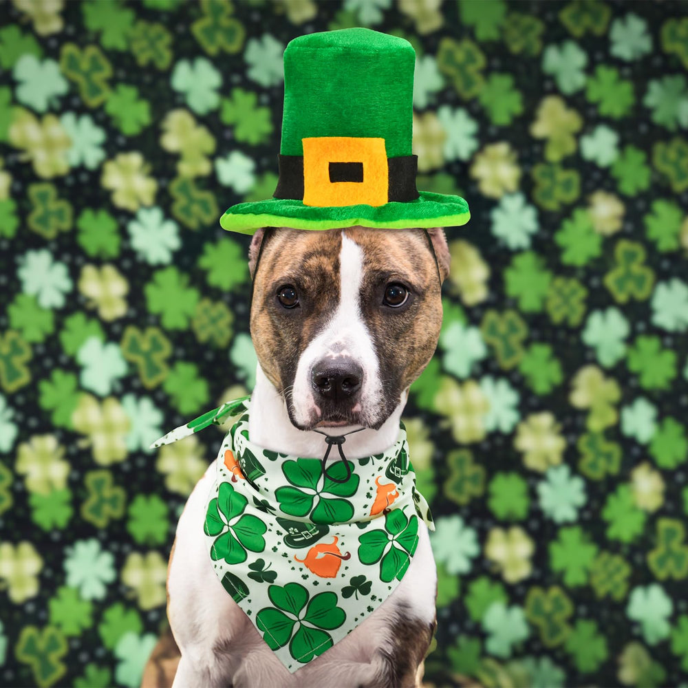 CooShou accesorios de sesión: vestuario festivo para fotos.