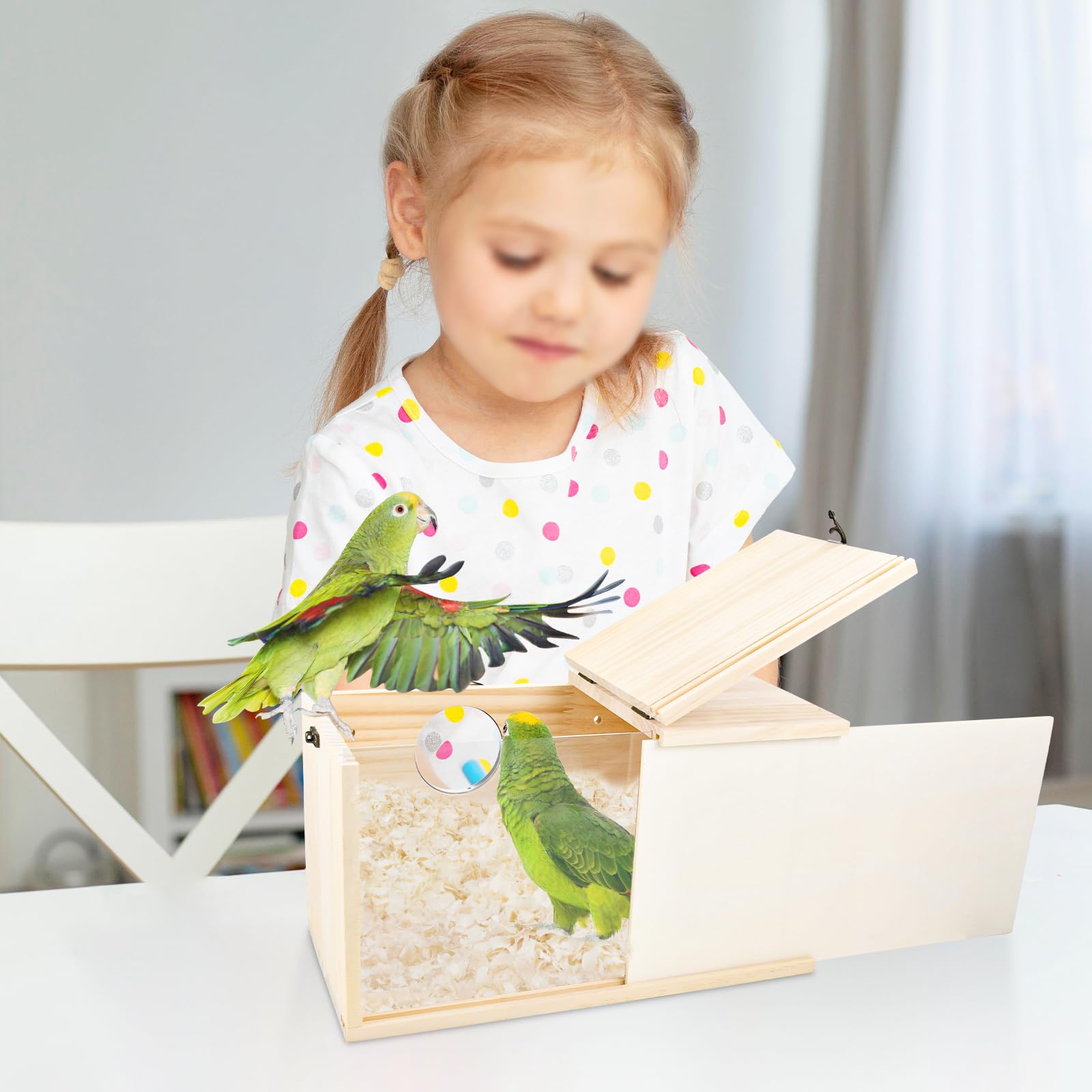 Nido de CooShou para loro pequeño con panel transparente para observar