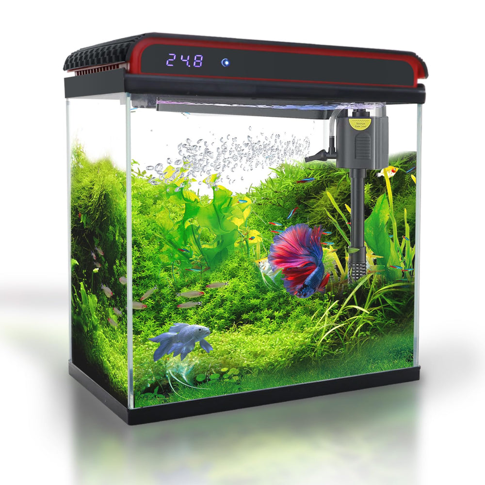 COOSPIDER Aquario de cristal 5 galones con iluminación LED 3 colores para realzar peces