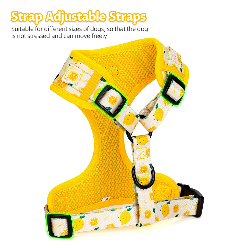 COOWONE laisse chien citron pour sorties pratiques et confortables.