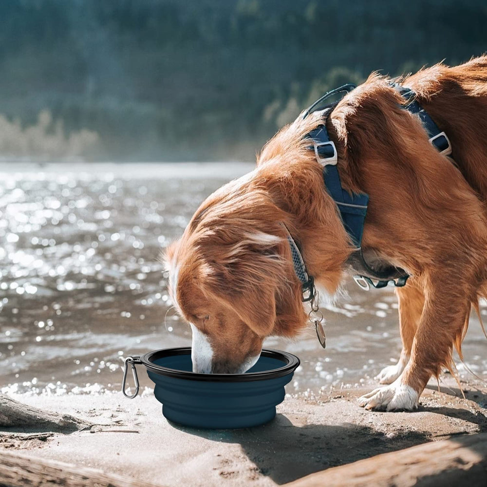 COOYOO cuenco plegable para perro mediano, fácil de transportar