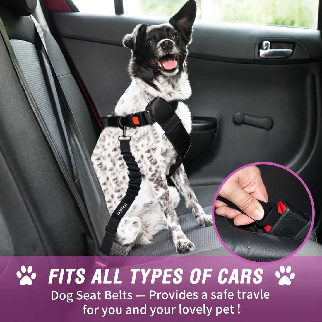 COOYOO, paquete de cinturones para perros con garantía de satisfacción.