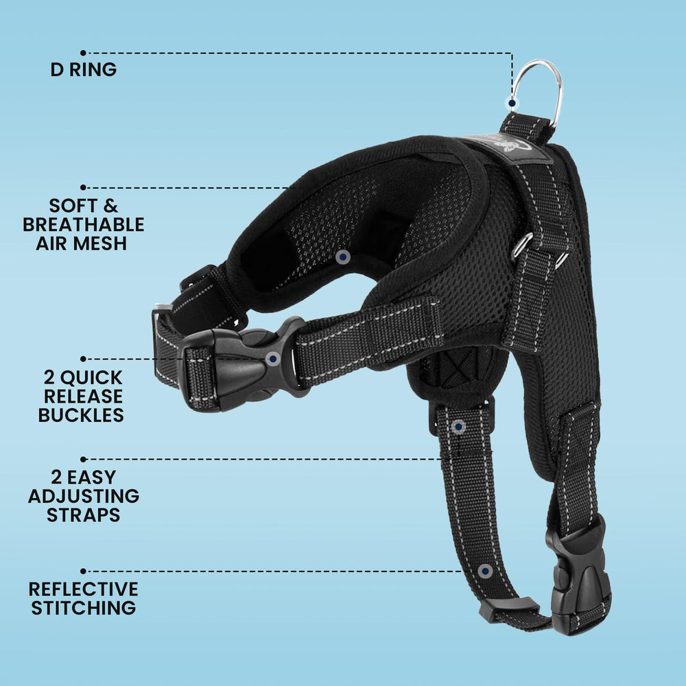 Arnés Copatchy con dos correas ajustables para un ajuste perfecto.