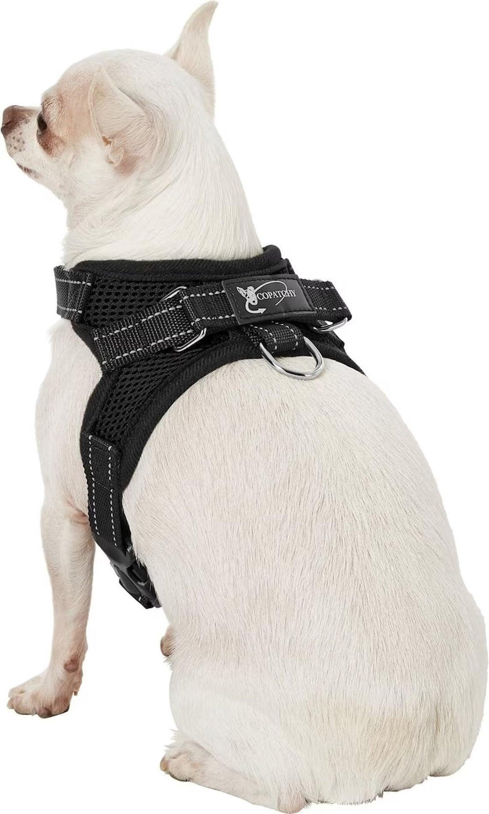 Arnés Copatchy de talla ajustable para perros en crecimiento.