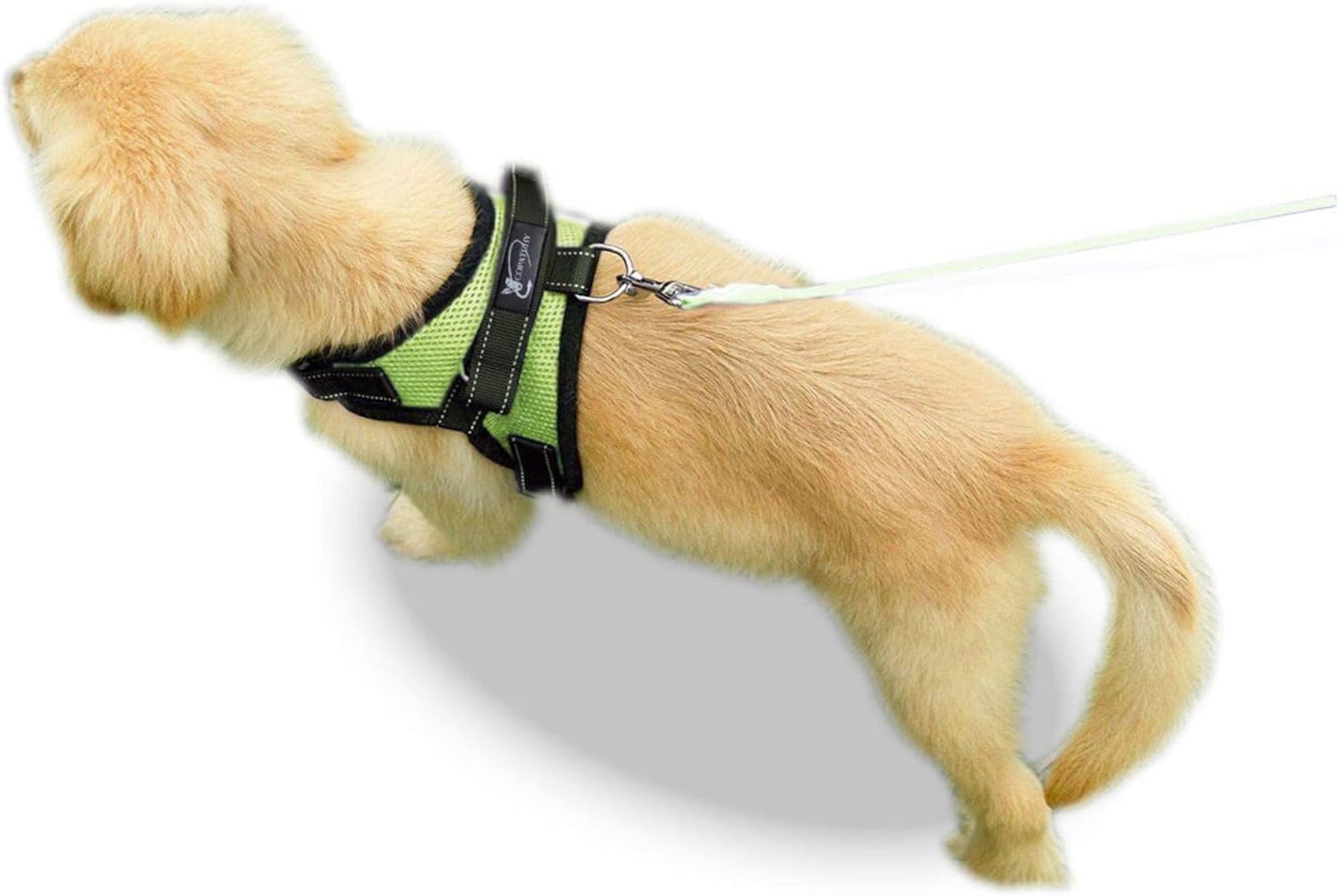 Arnés Copatchy ideal para caminatas diarias y confort.