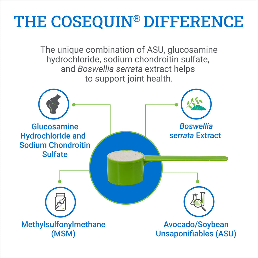 Cosequin ASU rendimiento equino: adecuado para caballos en entrenamiento intensivo.