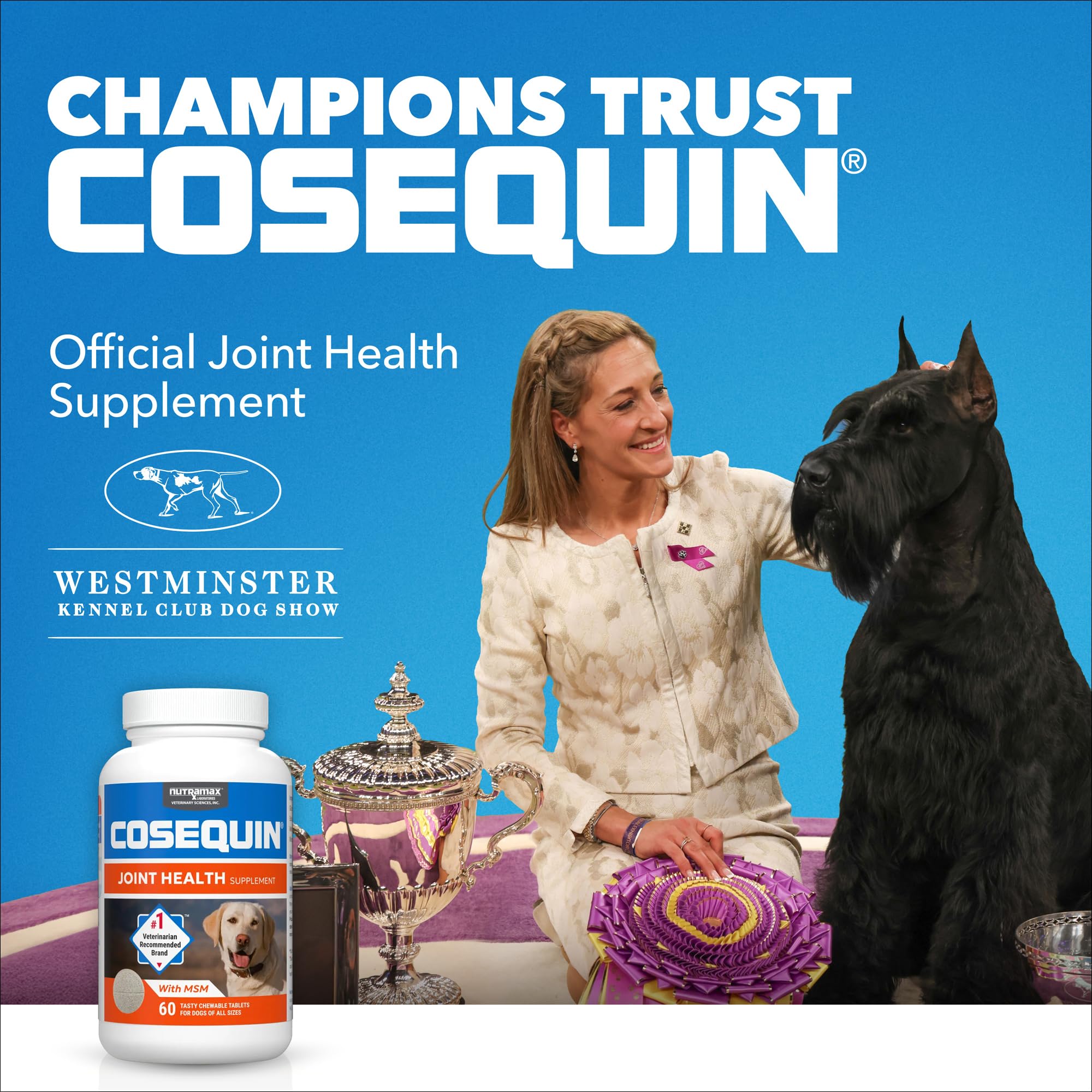 COSEQUIN tableta masticable sabor pollo, fácil de administrar para perros.