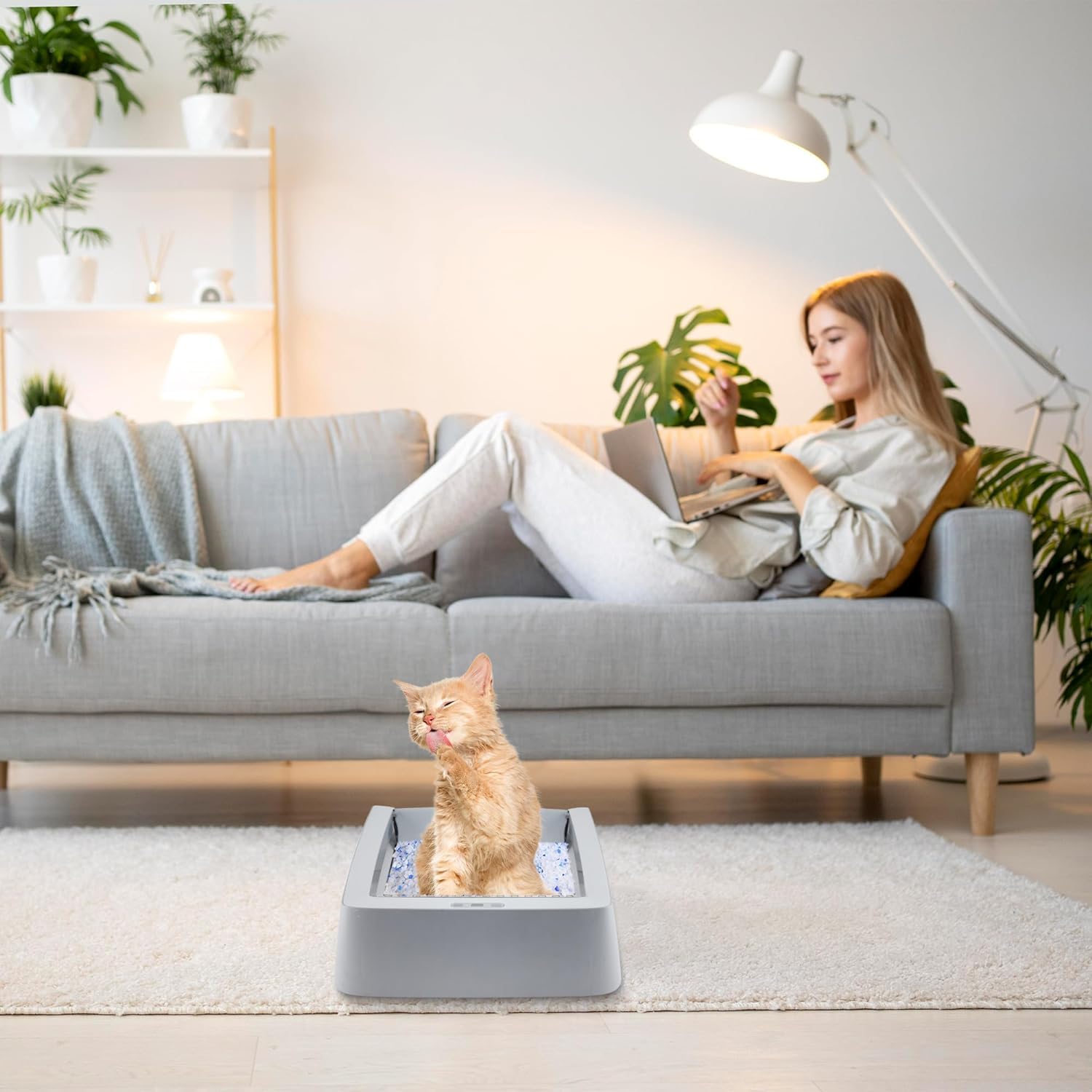 Cosparx diseño elegante de acero, añade estilo a la caja de gatos.
