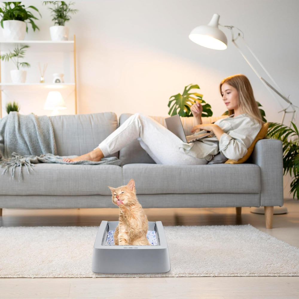 Cosparx diseño elegante de acero, añade estilo a la caja de gatos.