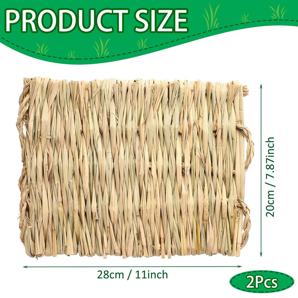 COTELEEC alfombra de hierba natural para hamster, agradable al tacto y fácil de limpiar.