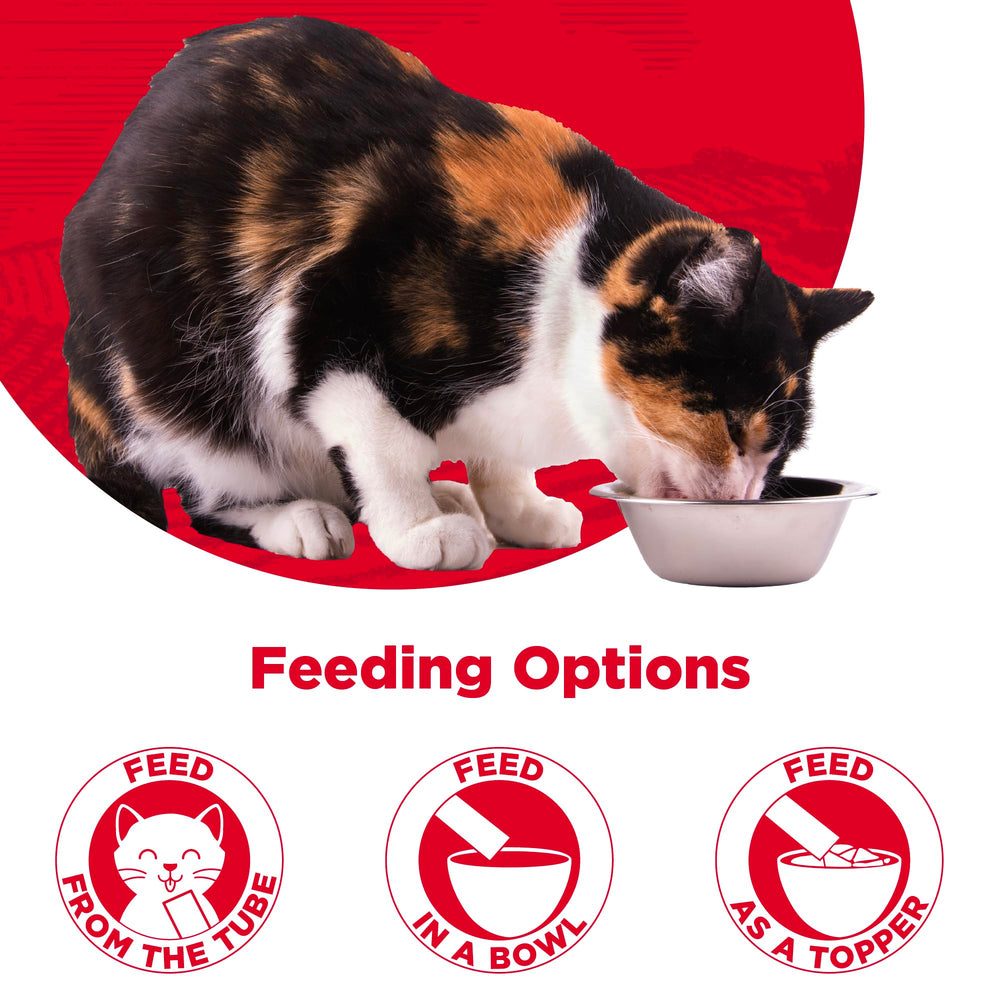 Country Kitchen Bisque para gatos, servir en tazón para recompensa suave