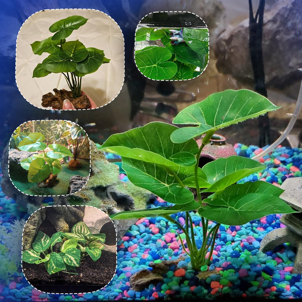 CousDUoBe decoración multiusos para acuario y hogar, vida natural en cualquier escena.