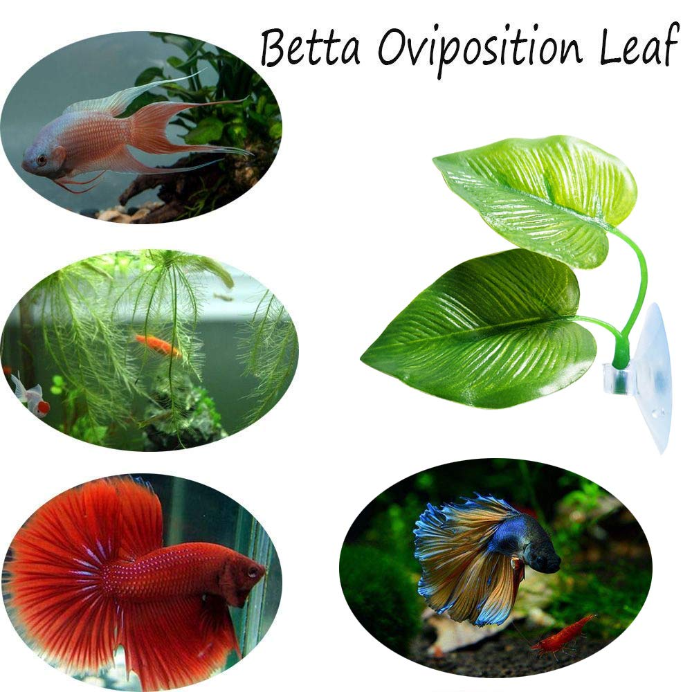 CousDUoBe diseño doble hoja: sombra y descanso para bettas.