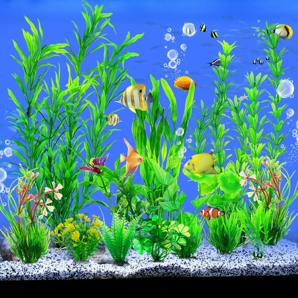 CousDUoBe plantas para acuario que no requieren iluminación ni poda