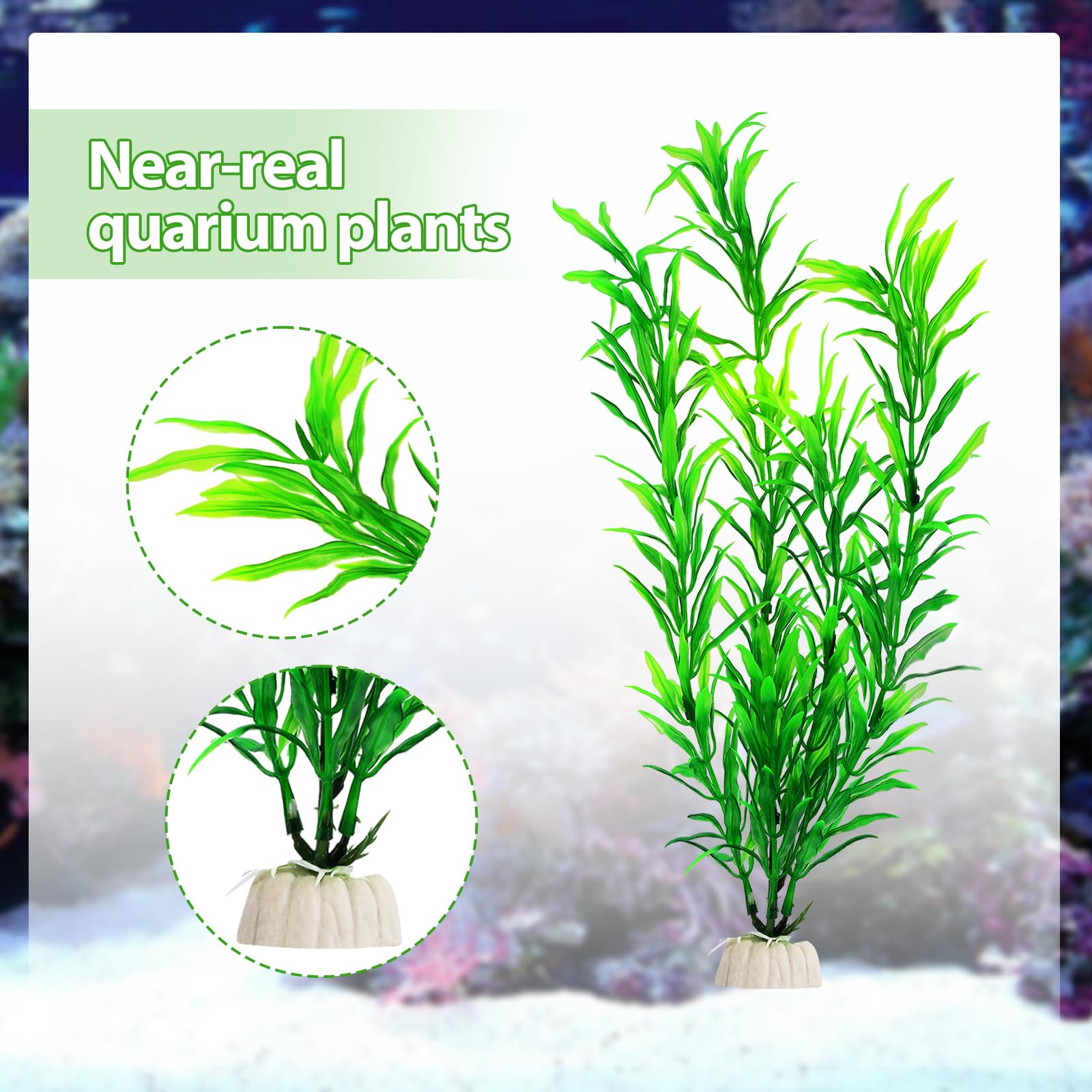 CousDUoBe plantas variadas para decorar con creatividad tu acuario