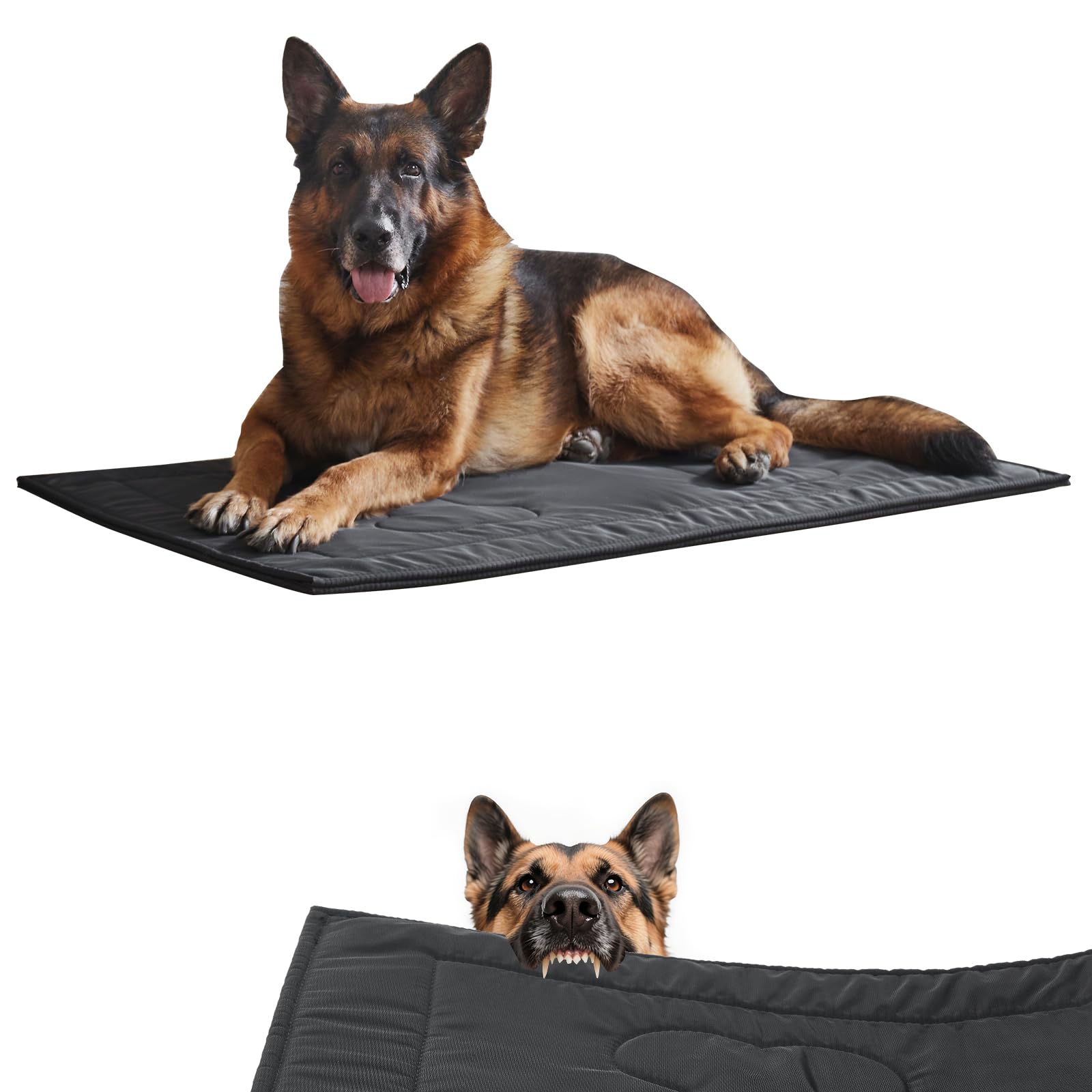 Couzssyhi almohadilla-jaula-perro-indestructible ideal para mordedores activos.