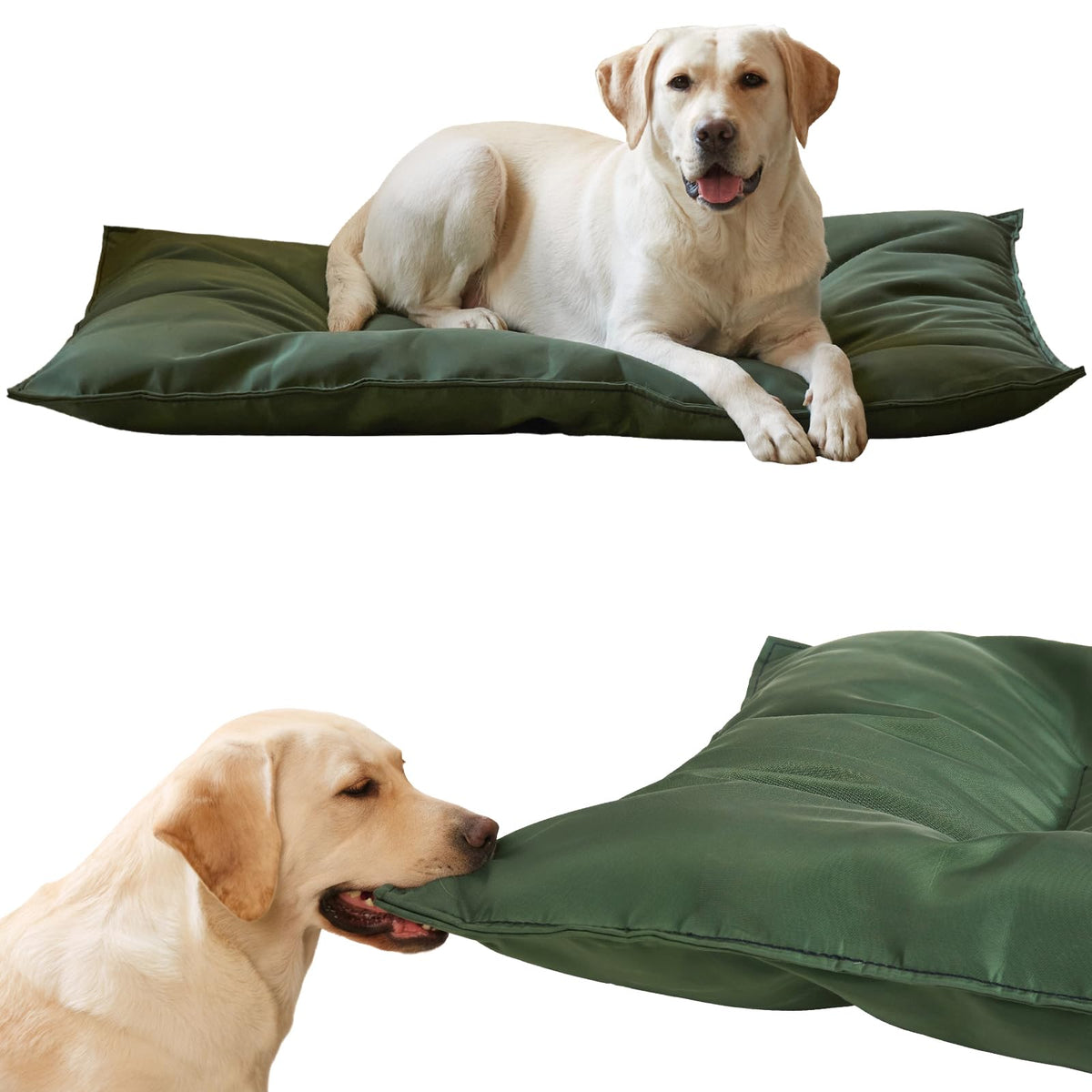 Couzssyhi cama-perro-resistente-mordida: cama duradera para perros masticadores