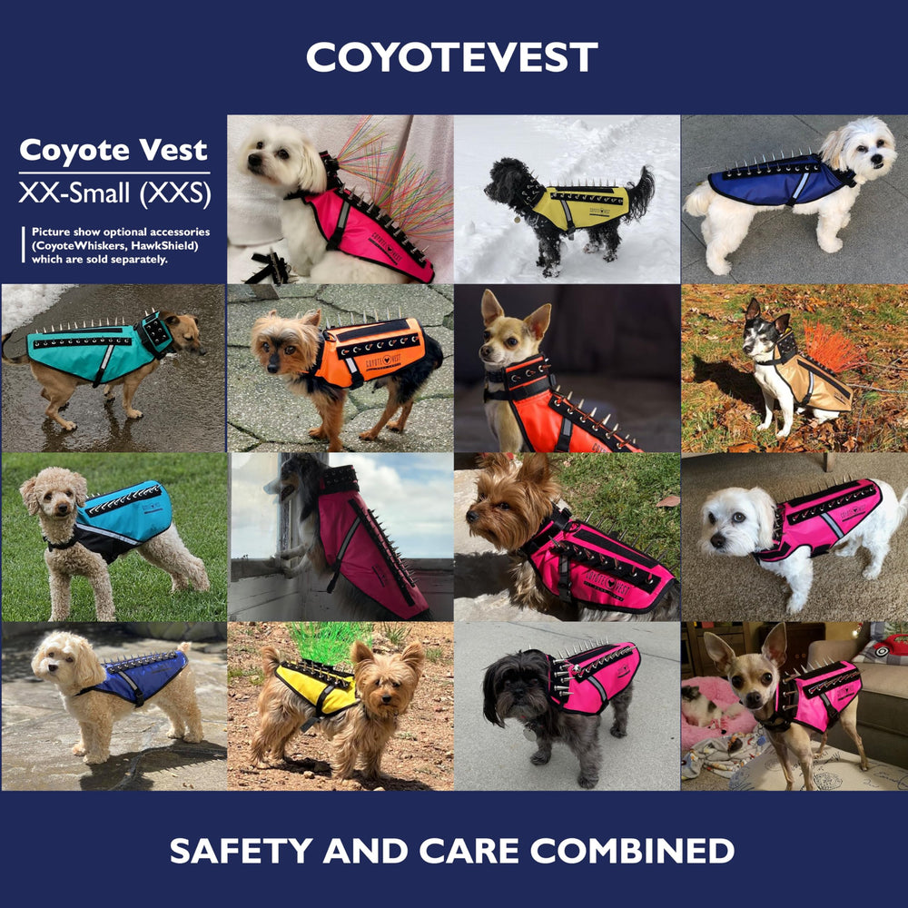CoyoteVest guía de tallas, elige el ajuste correcto para tu perro.