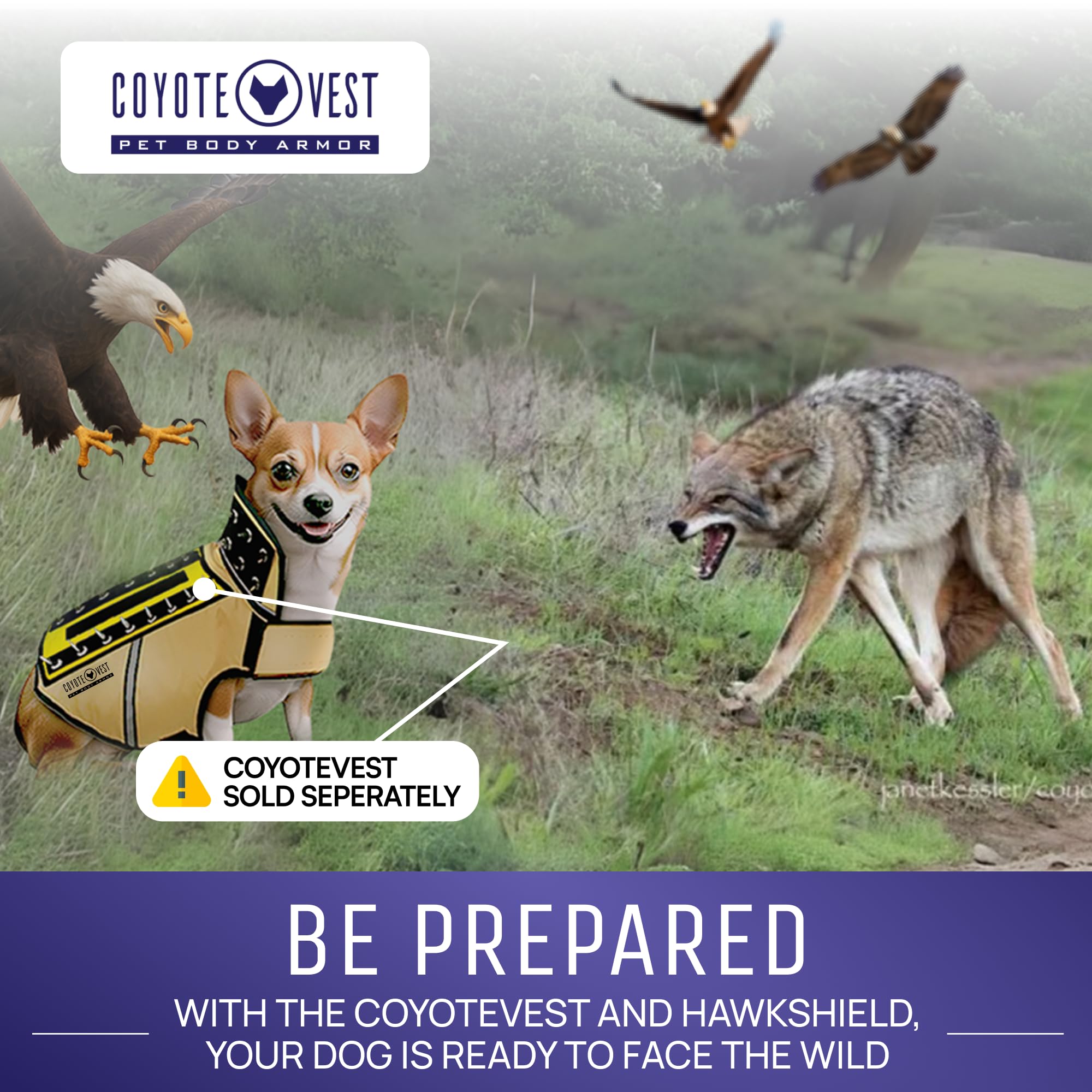CoyoteVest HawkShield ofrece protección adicional frente a ataques de aves.