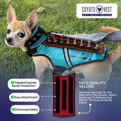 CoyoteVest HawkShield colores fluorescentes aumentan visibilidad y estilo.