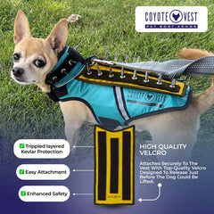 HawkShield en paseo diurno con colores fluorescentes para visibilidad.
