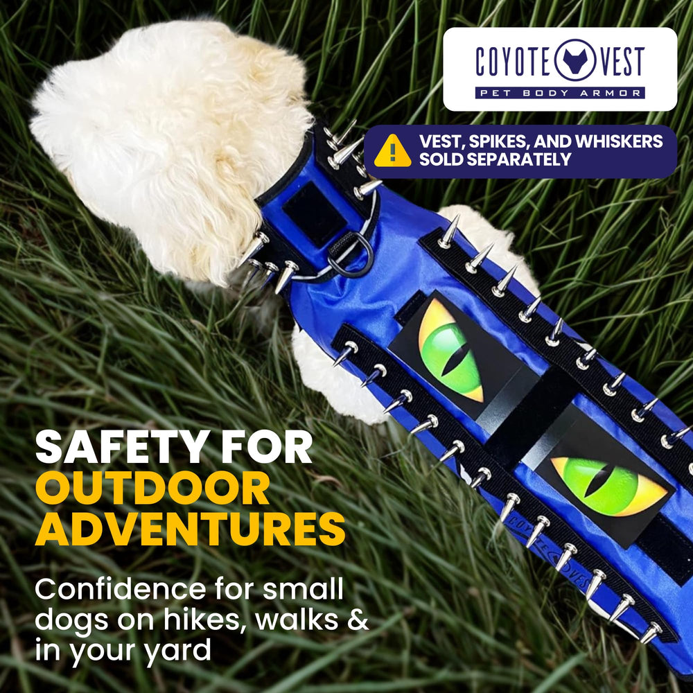 CoyoteVest protección perros: reduce el riesgo de ataques de aves durante caminatas.
