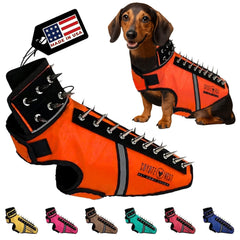 CoyoteVest SpikeVest espigas cuello: protección del cuello y mayor disuasión para paseos.