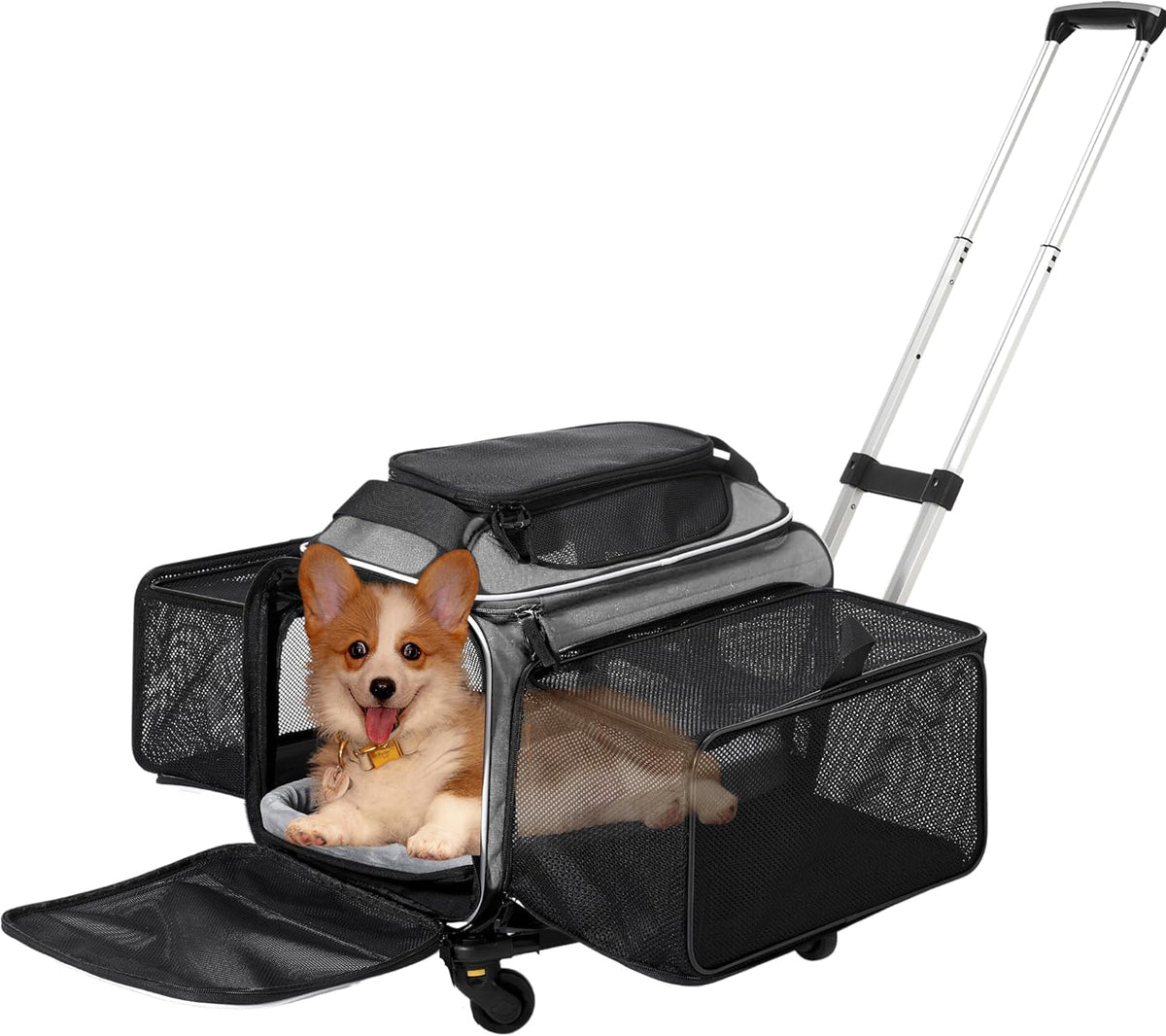 Cozy Cruiser carrier aprobado para aerolíneas, cabe bajo el asiento y facilita el embarque.