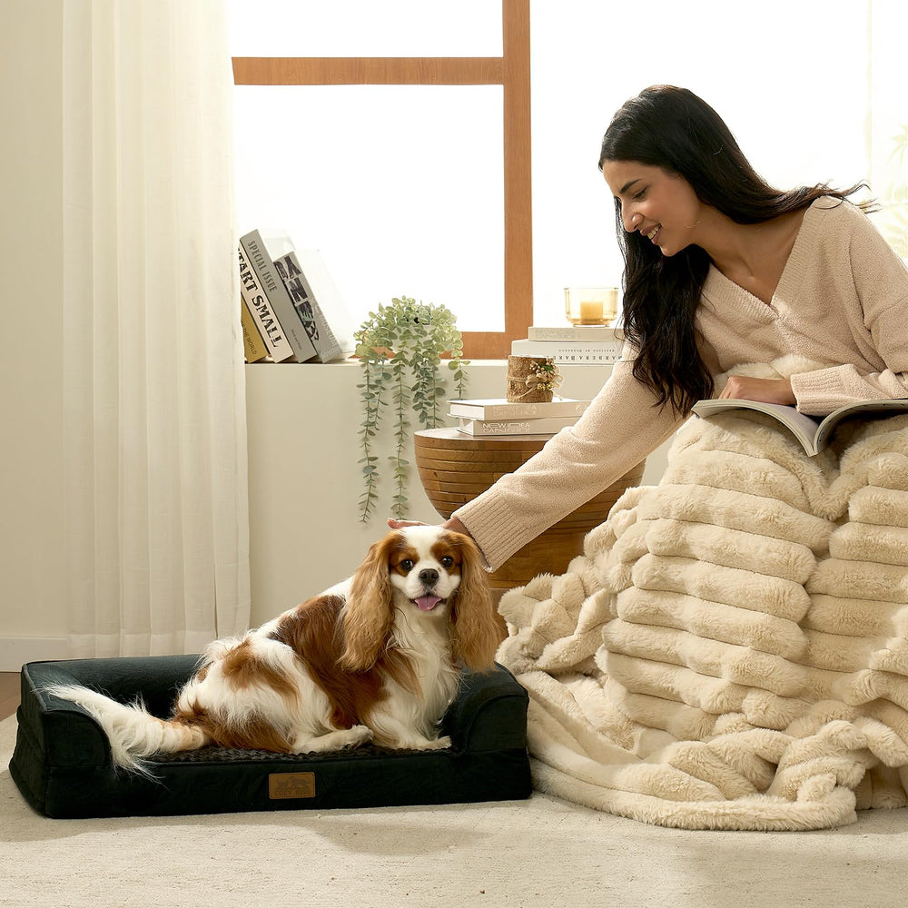 COZY KISS cama en U con cojines de apoyo para cabeza y cuello
