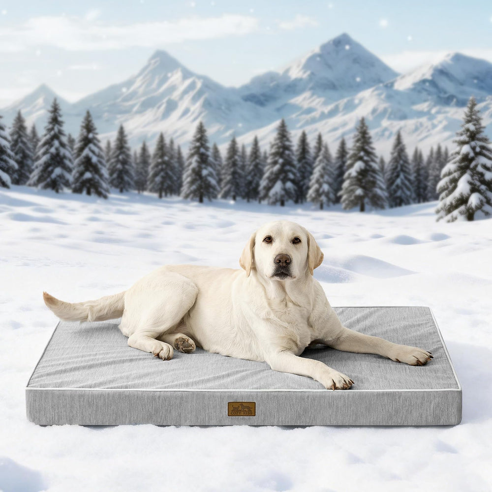 Cama ortopédica COZY KISS con tejido enfriante para perros grandes, ideal en días cálidos.