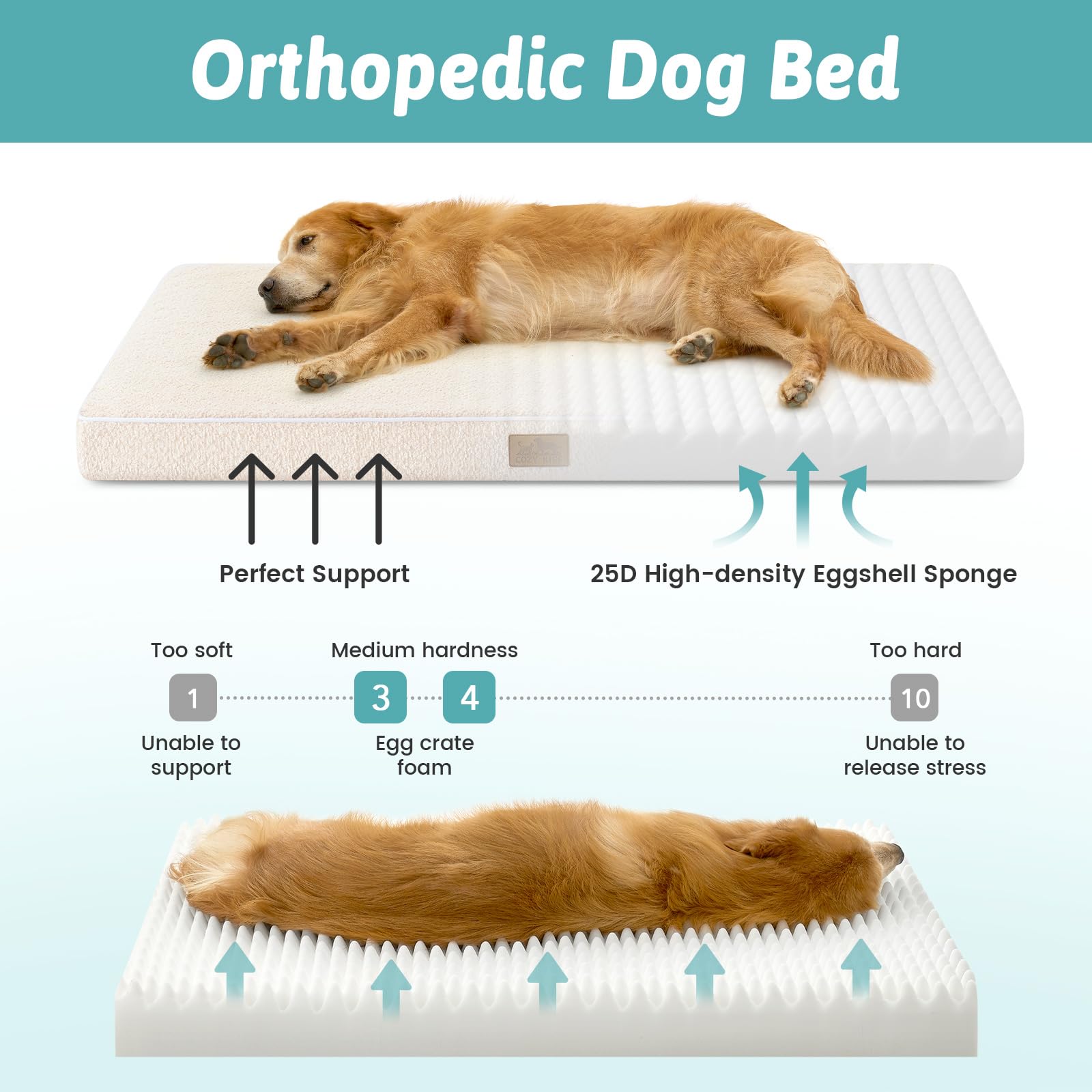 COZY KISS, espuma de alta densidad, ofrece soporte suave para descanso diario.