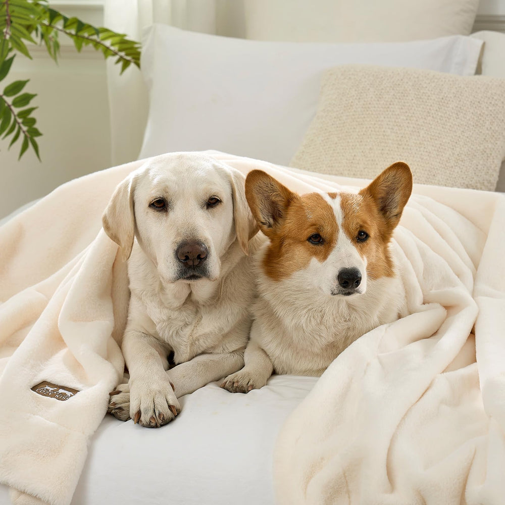 COZY KISS manta-confort-peluche-uso-cama-o-sofa: ideal para descanso.